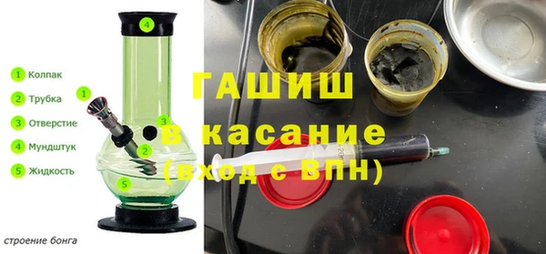 индика Михайловск