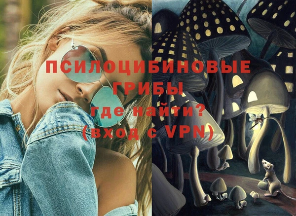 тгк Михайлов