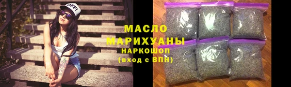 индика Михайловск