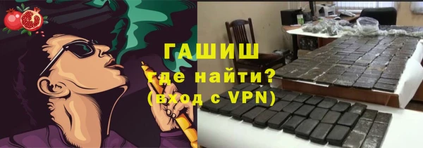индика Михайловск