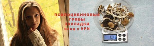 тгк Михайлов