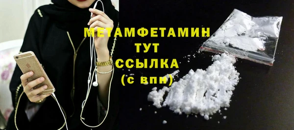 индика Михайловск