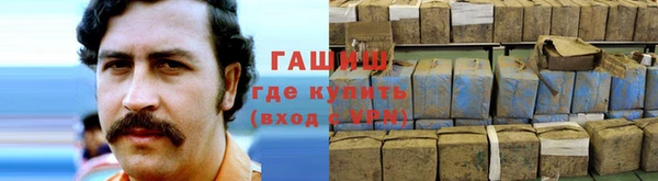 прущие грибы Тольятти