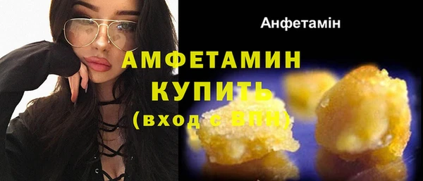 индика Михайловск