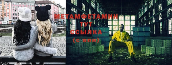 индика Михайловск
