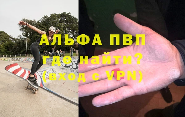 индика Михайловск