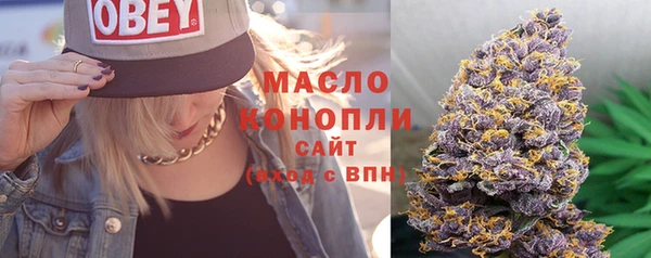 индика Михайловск