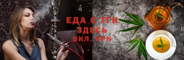 индика Михайловск