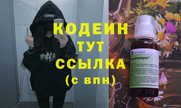 индика Михайловск
