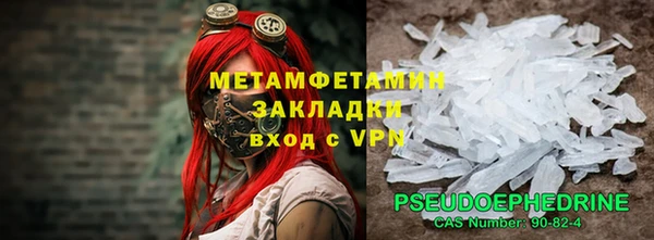 индика Михайловск