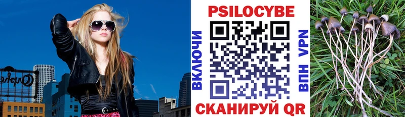 Купить  Камешково  Галлюциногенные грибы прущие грибы 